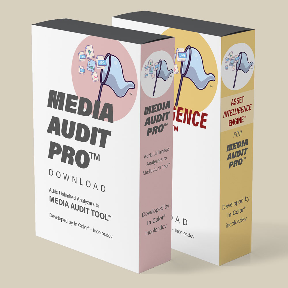 Media Audit Pro™ plus Asset Intelligence Engine™
